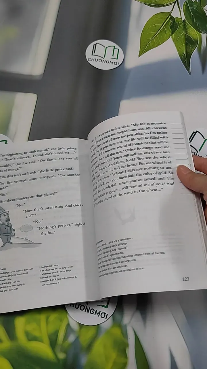 The Little Prince - 800 Words - Antoine de Saint-Exupéry 754533