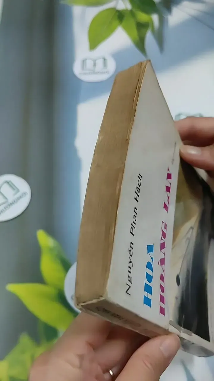 Hoa Hoàng Lan - Nguyễn Phan Hách 713866