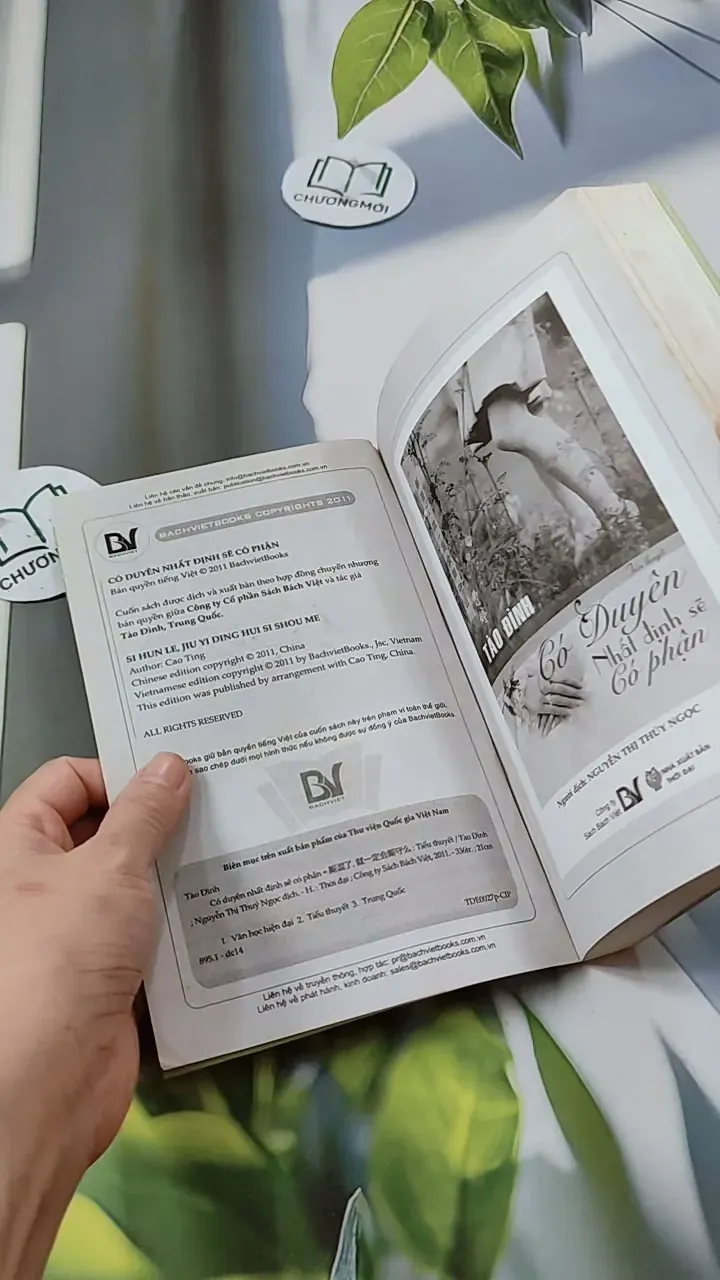 Có Duyên Nhất Định Sẽ Có Phận - Tào Đình 744694