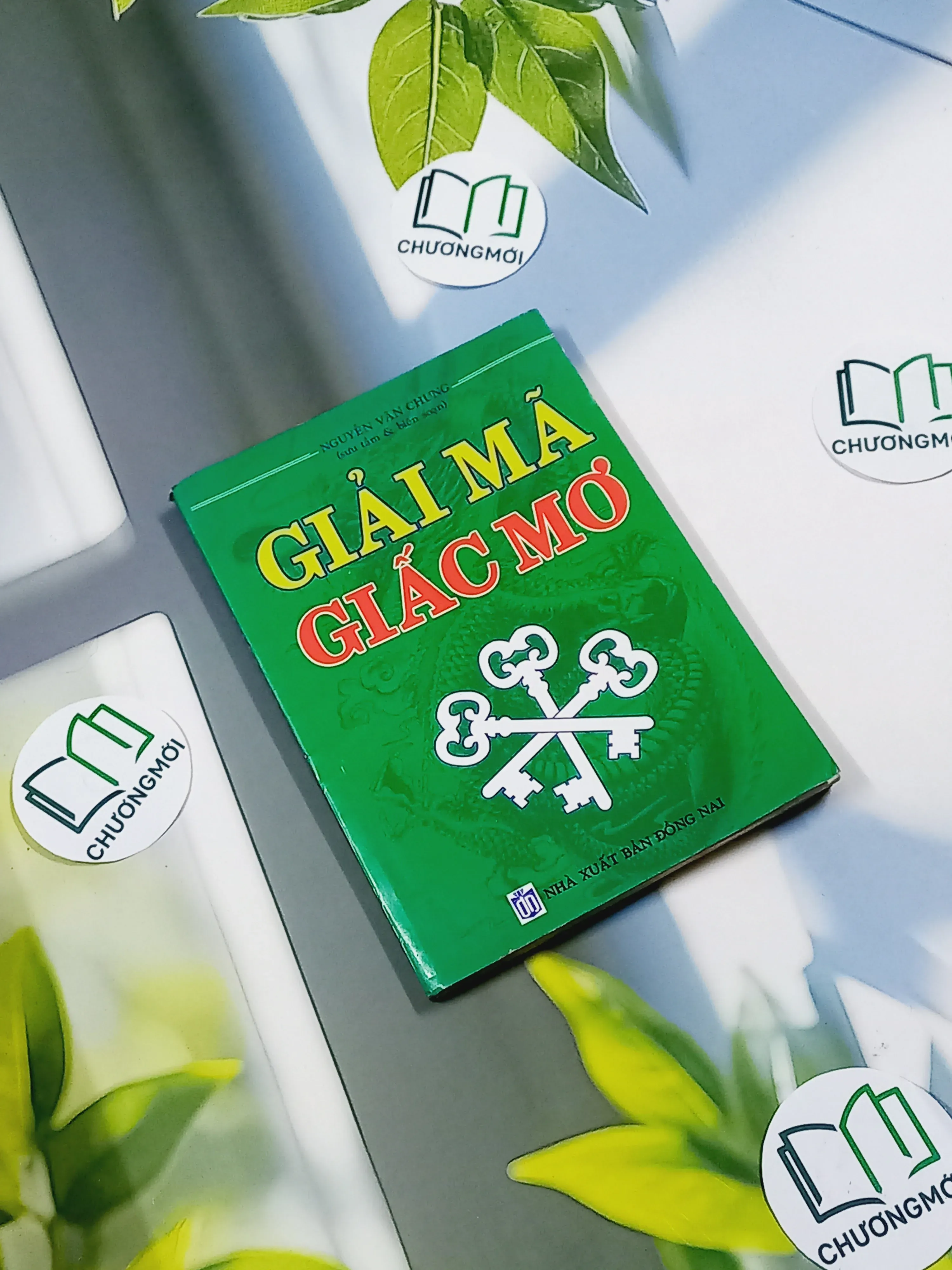 Giải Mã Giấc Mơ - Nguyễn Văn Chung