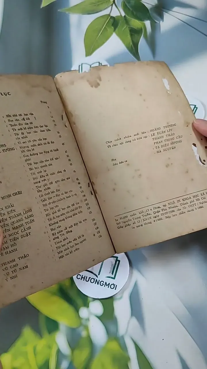 Hồi Nhỏ Các Nhà Văn Học Văn 713828