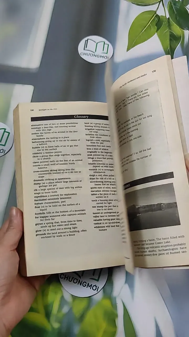 Spotlight on the USA - Randee Falk 754540