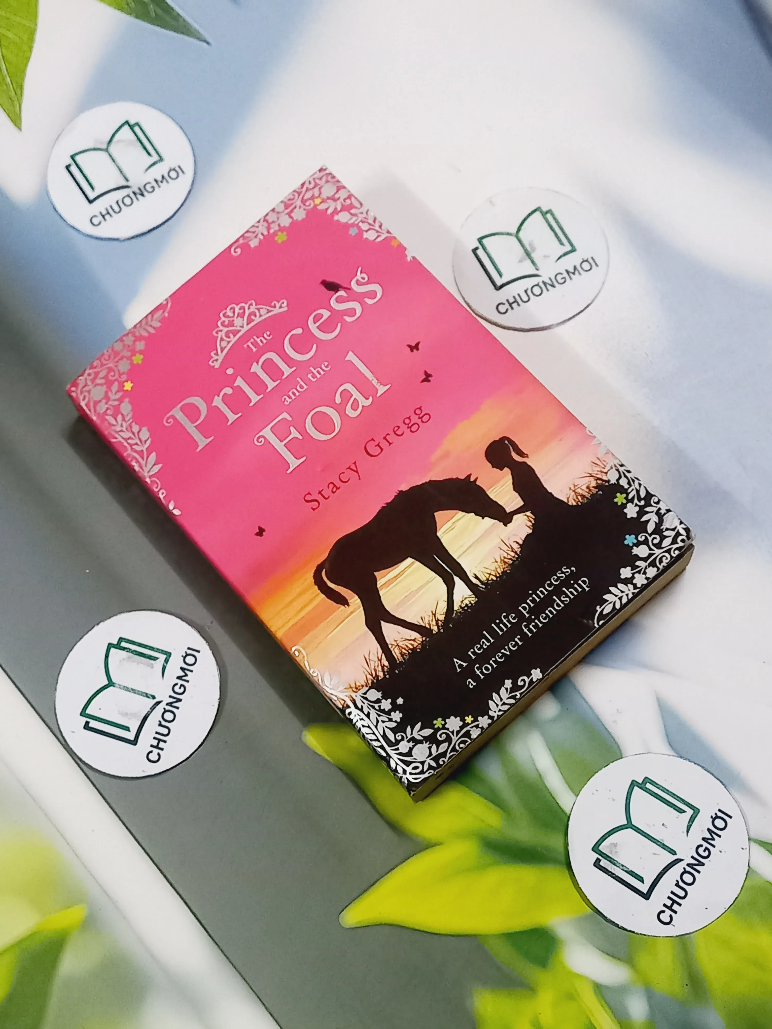 The Princess and the Foal - Stacy Gregg