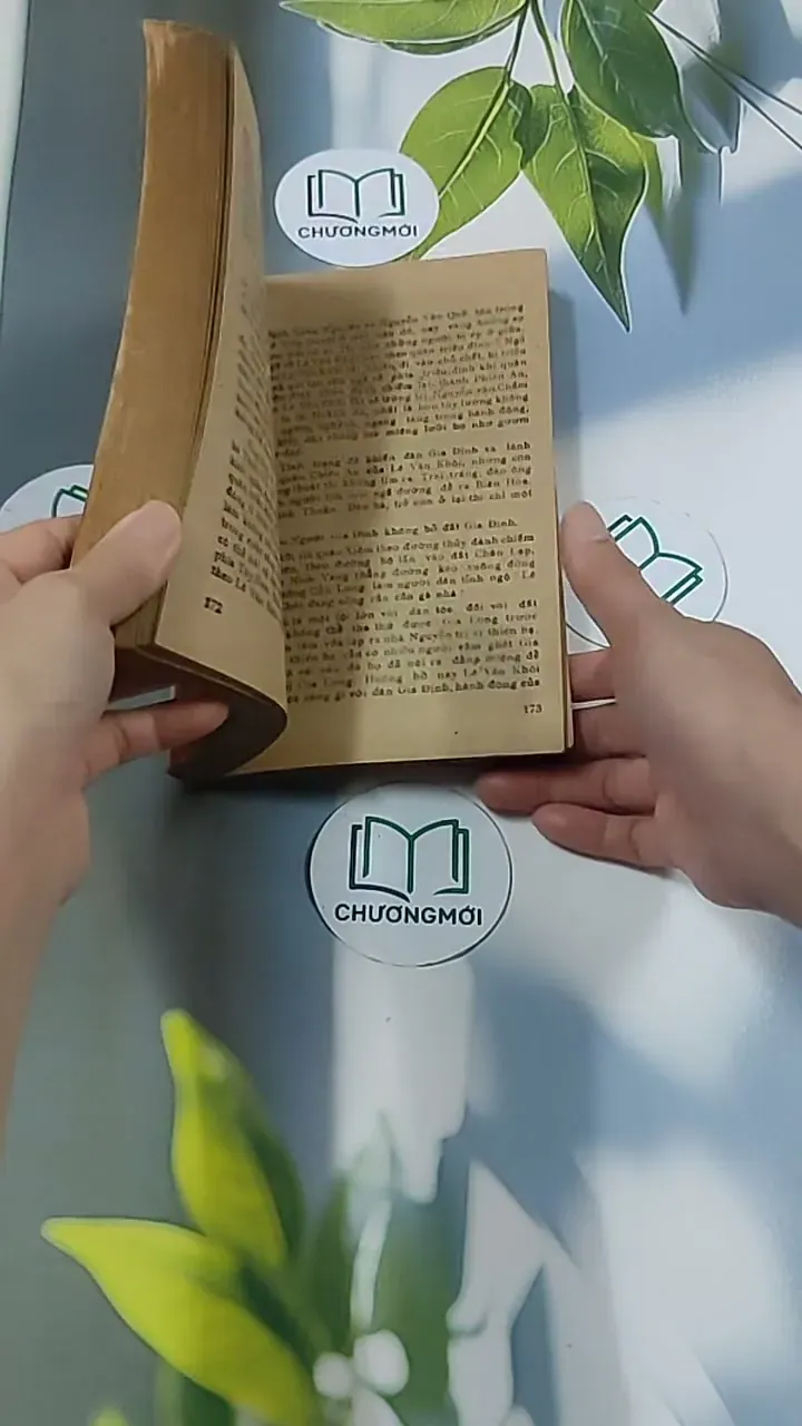 Tuổi Xanh Nguyễn Đình Chiểu (1987) - Thái Vũ 674974