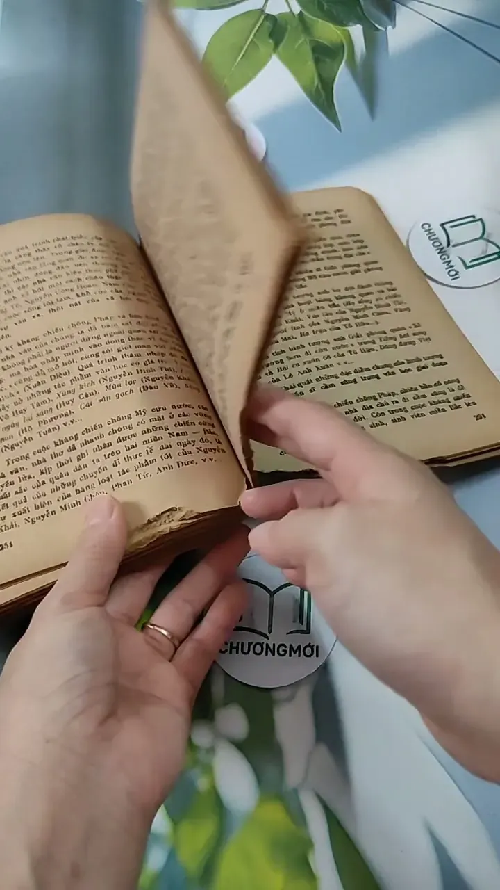 Hướng Dẫn Ôn Tập Và Làm Bài Thi Vào Các Trường Đại Học - Môn Văn 713821