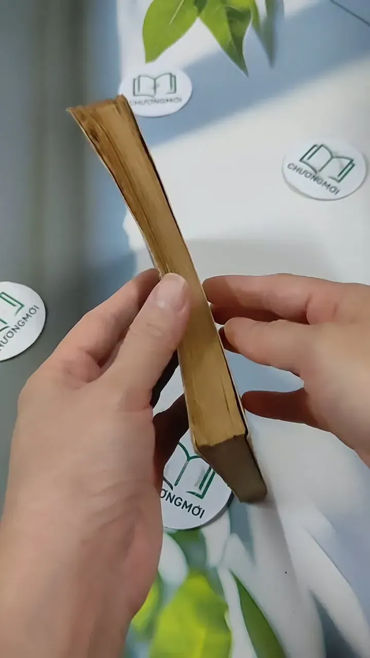 Nàng Macgaret Xinh Đẹp - Henry Rider Hagard 713839