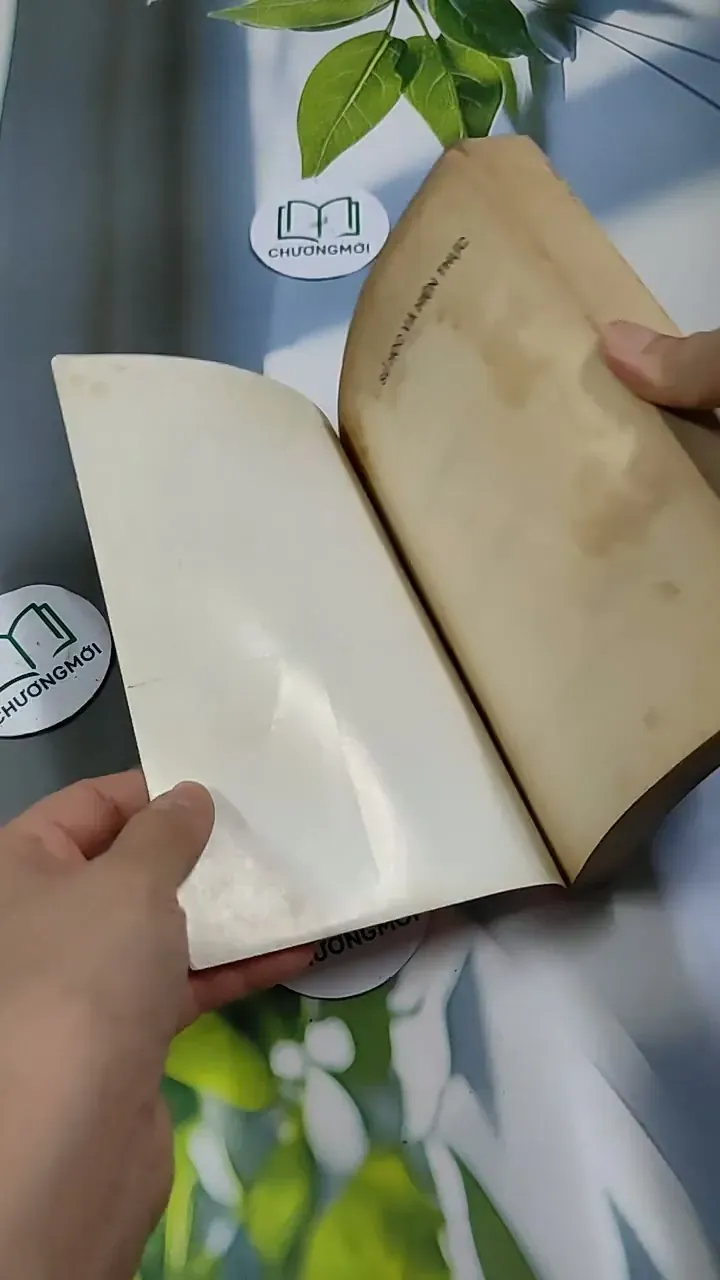 Sử Học và Hiện Thực - Văn Tạo 713898