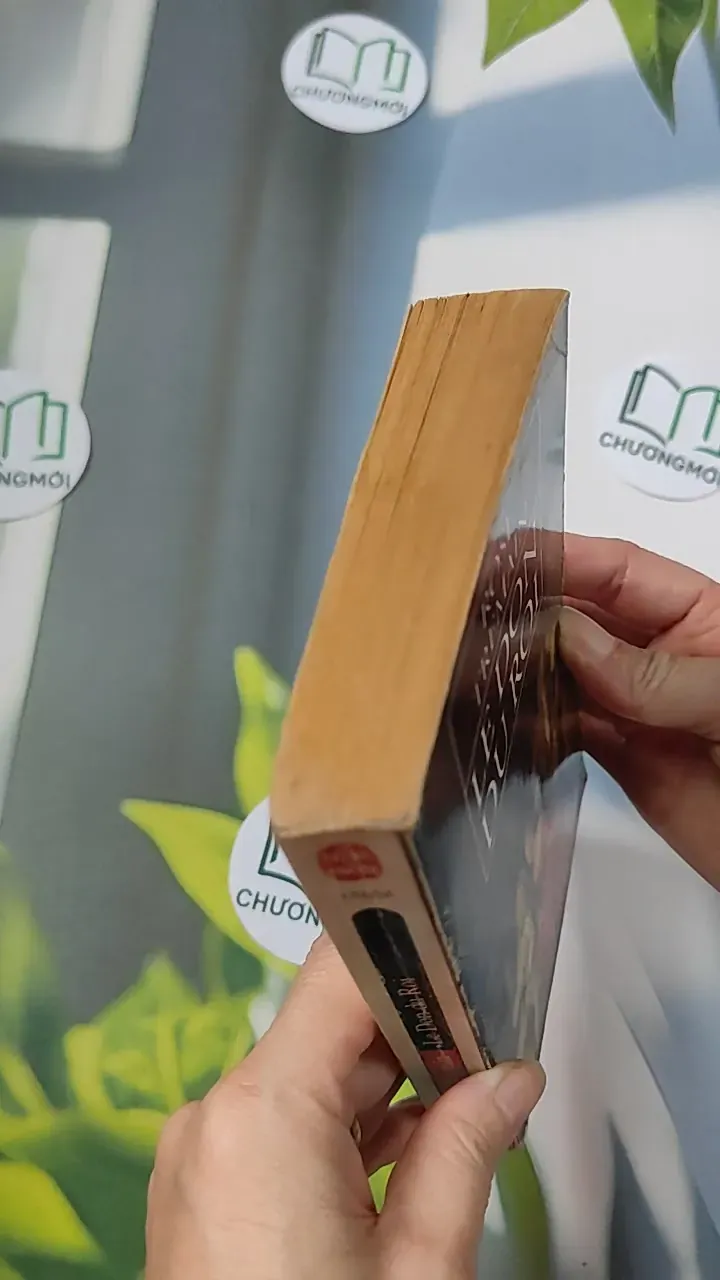 [XƯA] Le Don du Roi (1994) - Rose Tremain 754494