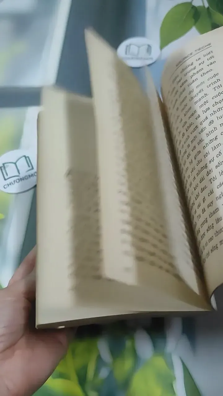 Nghệ Thuật Sống (1995) 727354