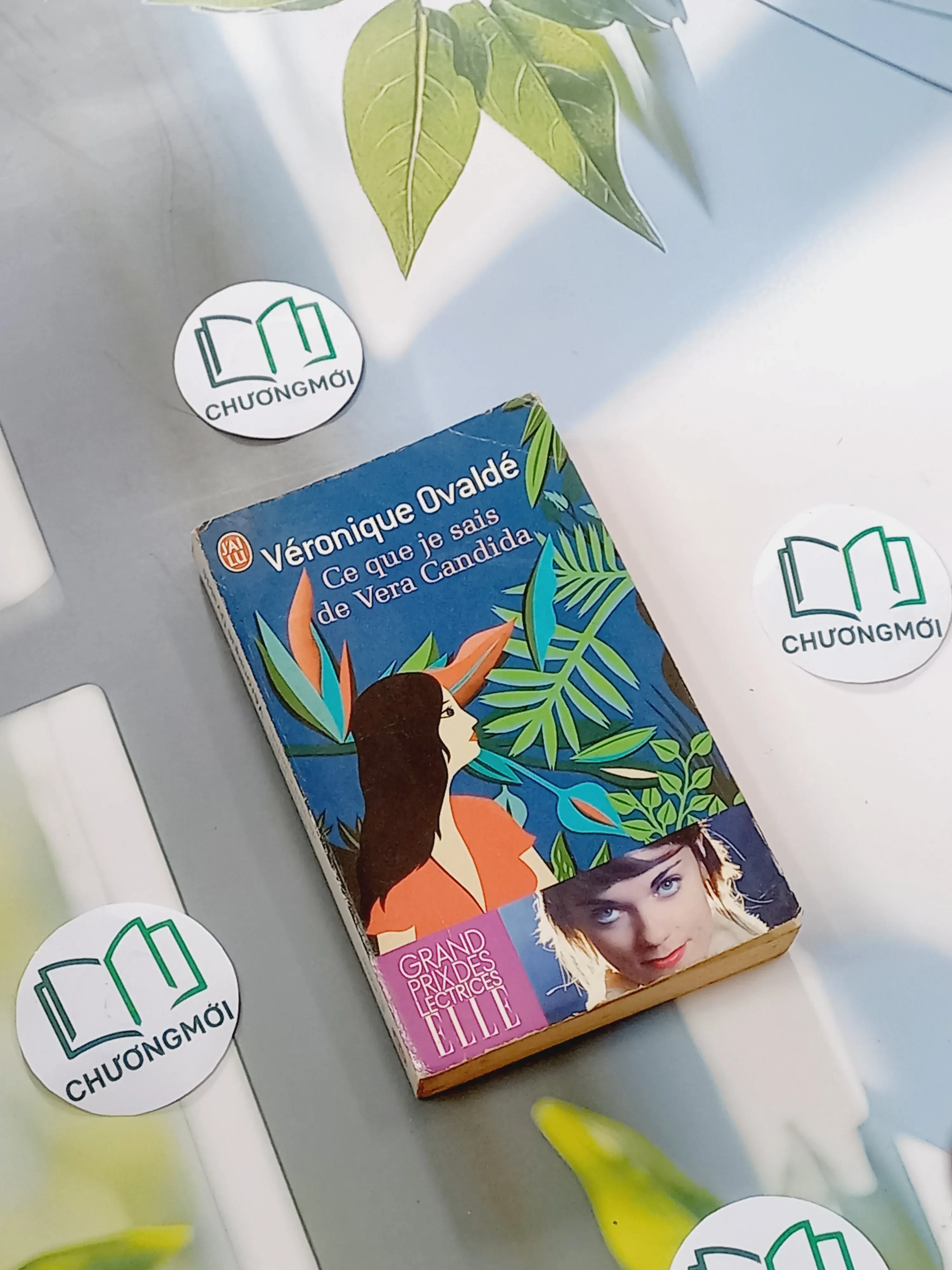 Ce que je sais de Vera Candida - Véronique Ovaldé