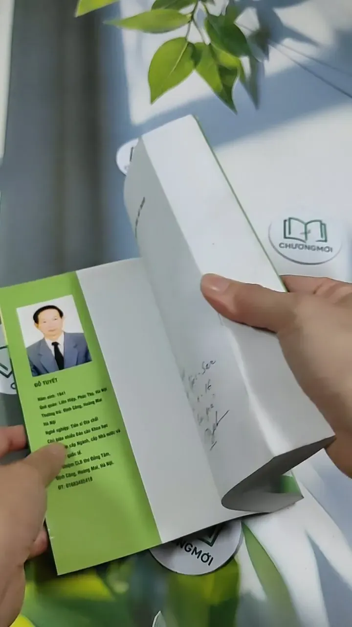 Chuyện Tình Sét Đánh - Đỗ Tuyết 705741