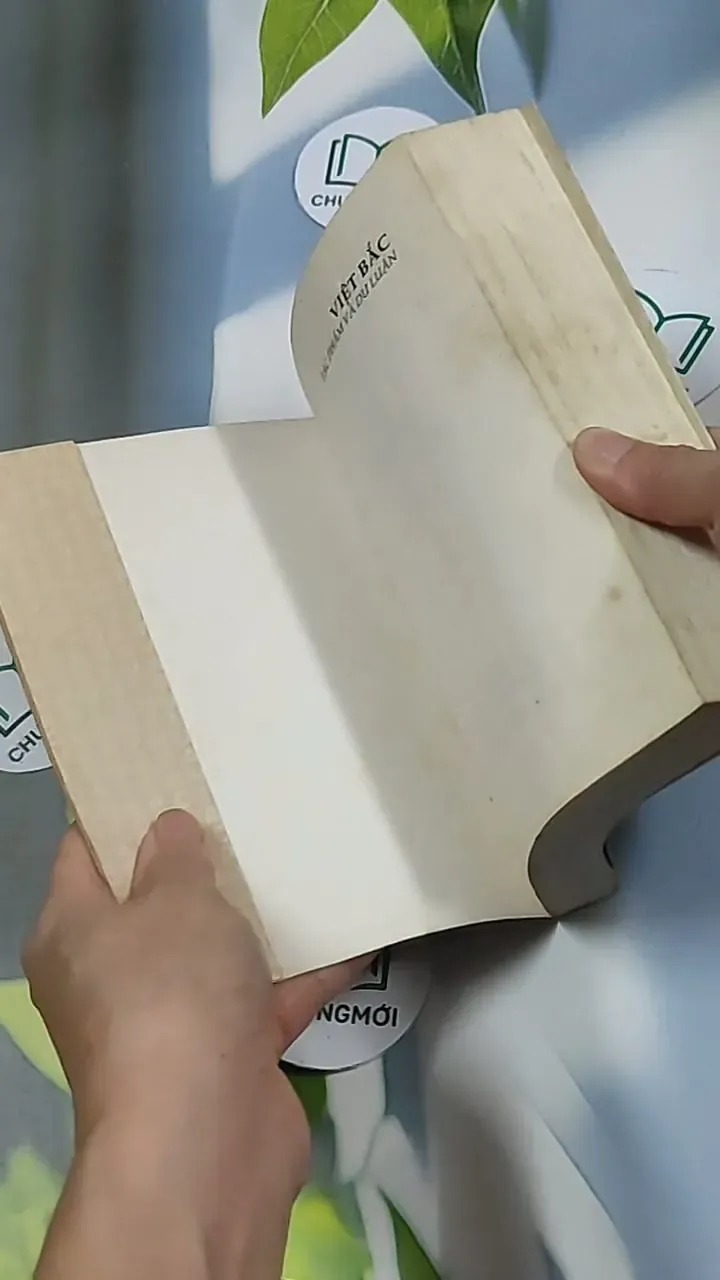 Việt Bắc - Tác phẩm và dư luận - Tố Hữu 698620