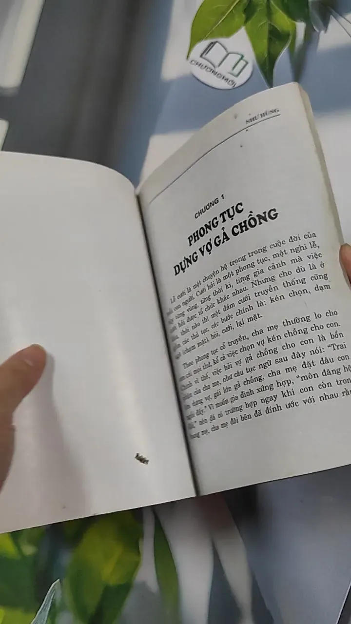 Phong Tục Dựng Vợ Gả Chồng - Như Hùng 776135