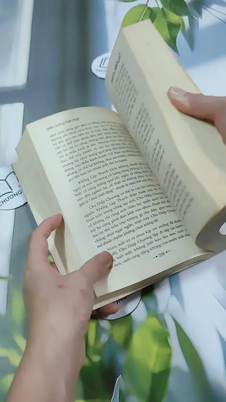 Bánh Xe Định Mệnh - Nhiễu Lương Tam Nhật 744734