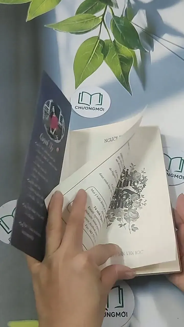 Người dưng trót nhớ - Quỳnh Thy 694933