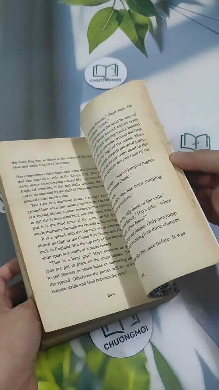 The Princess and the Foal - Stacy Gregg 715620