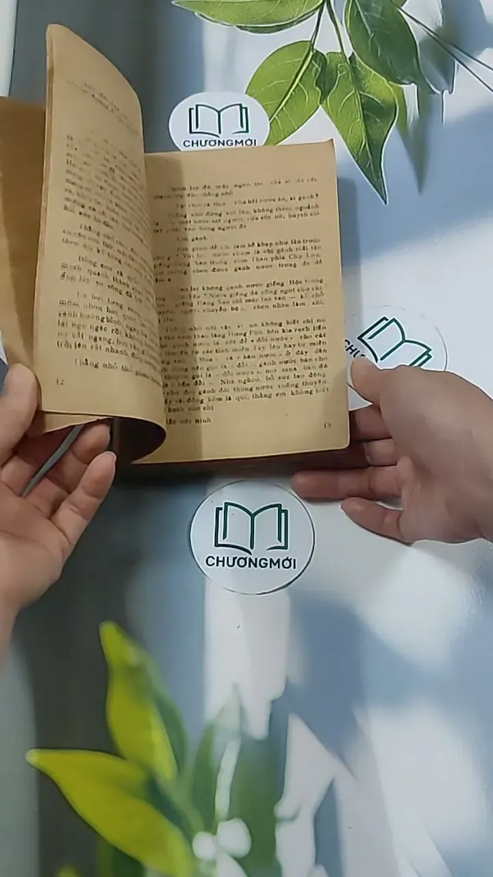 Tuổi Xanh Nguyễn Đình Chiểu (1987) - Thái Vũ 674974