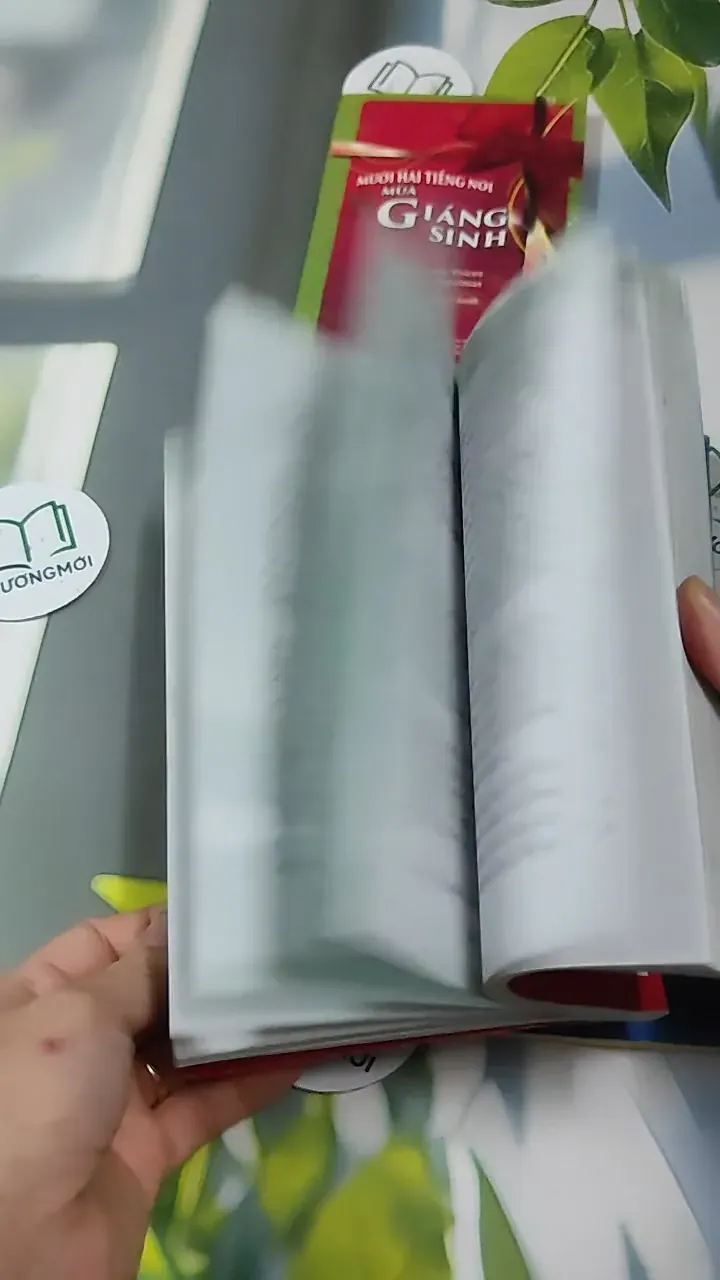 Combo Hạt Giống Tâm Hồn Quà Tặng Cuộc Sống: Giáng Sinh 727340