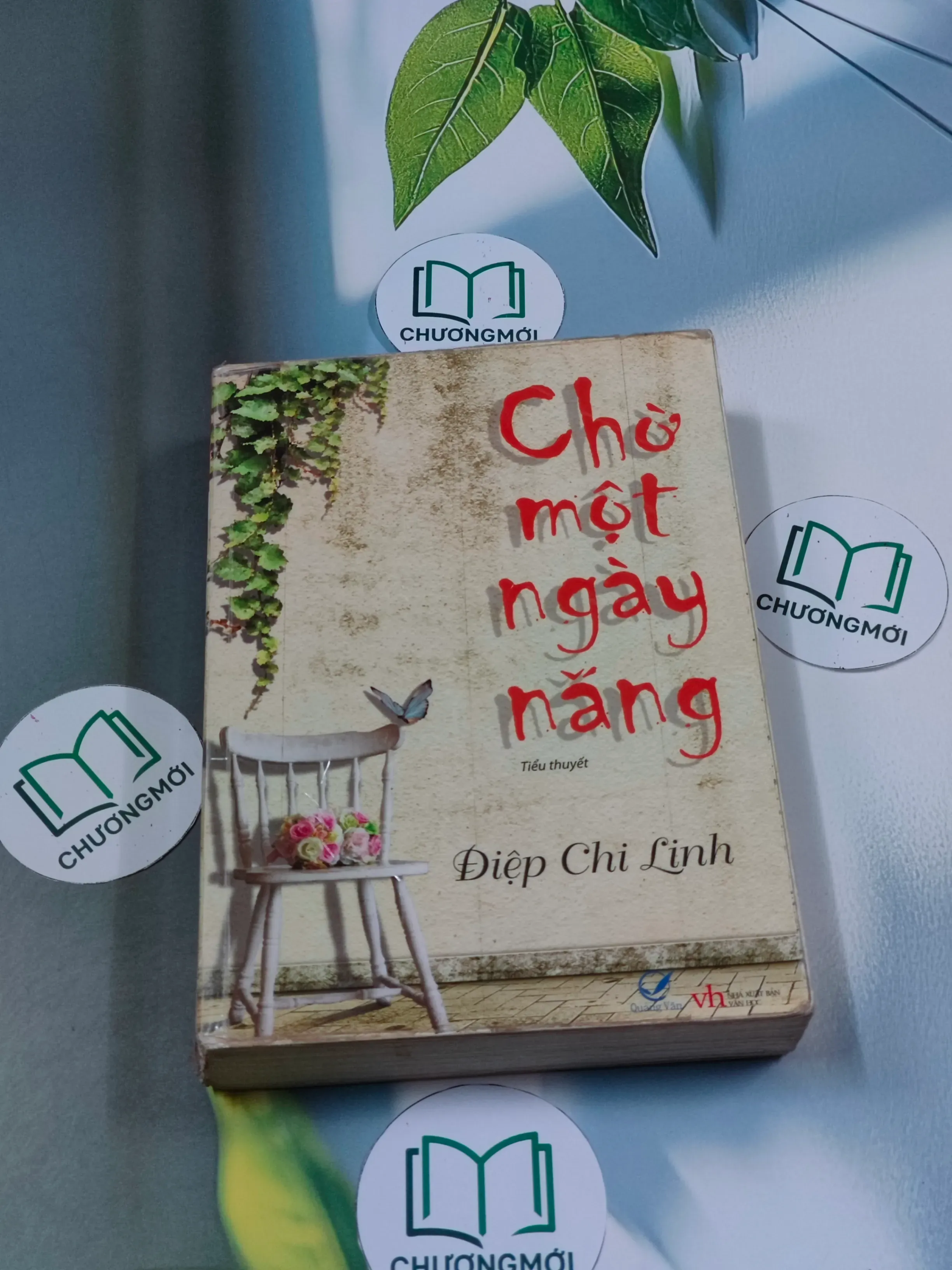 Chờ một ngày nắng - Điệp Chi Linh