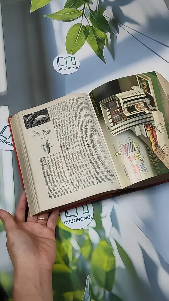 [MIỄN PHÍ BỌC SÁCH] Nouveau Petit Larousse 750740