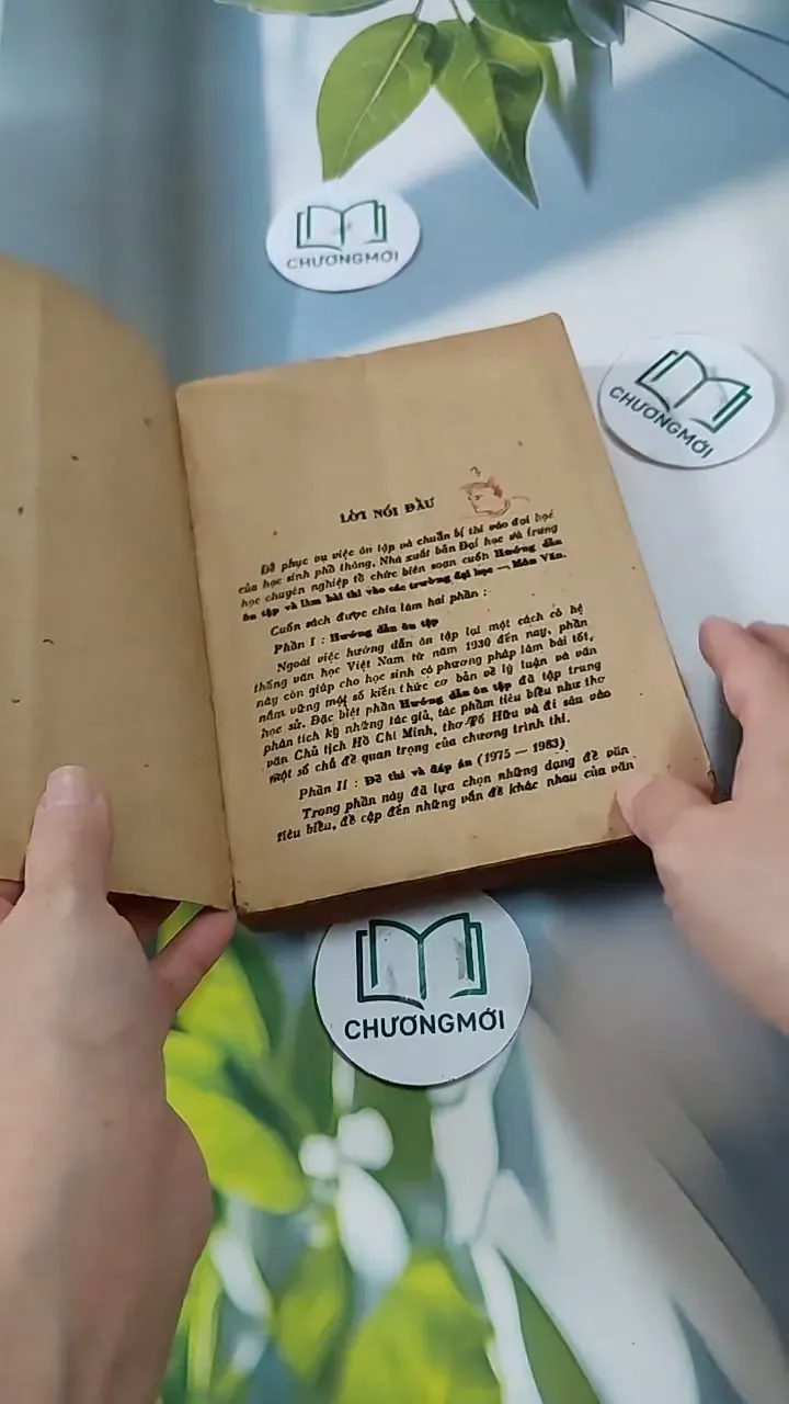 Hướng Dẫn Ôn Tập Và Làm Bài Thi Vào Các Trường Đại Học - Môn Văn 713821