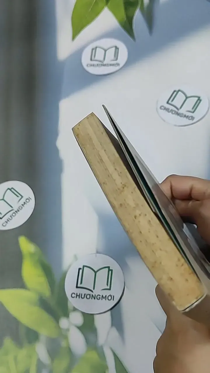 Buồn làm sao buông - Anh Khang 698580