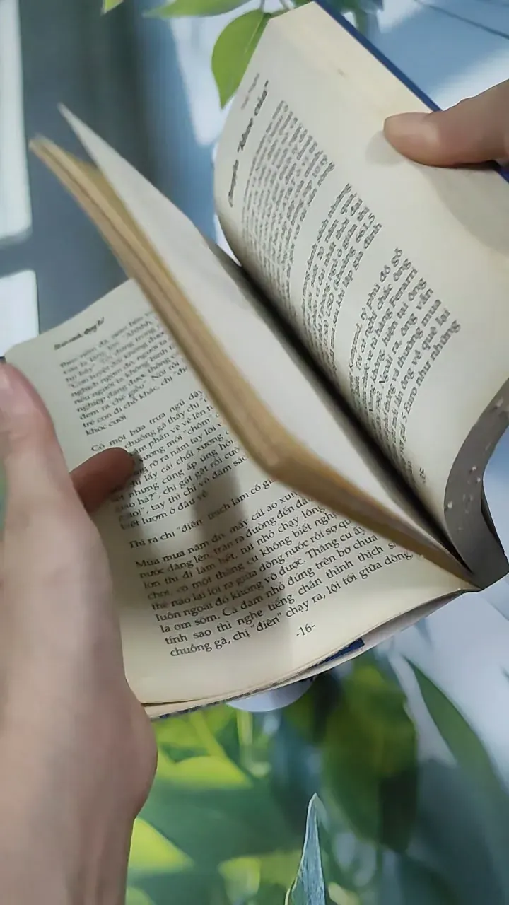 Sẽ Có Cách, Đừng Lo! - Tuệ Nghi 787094