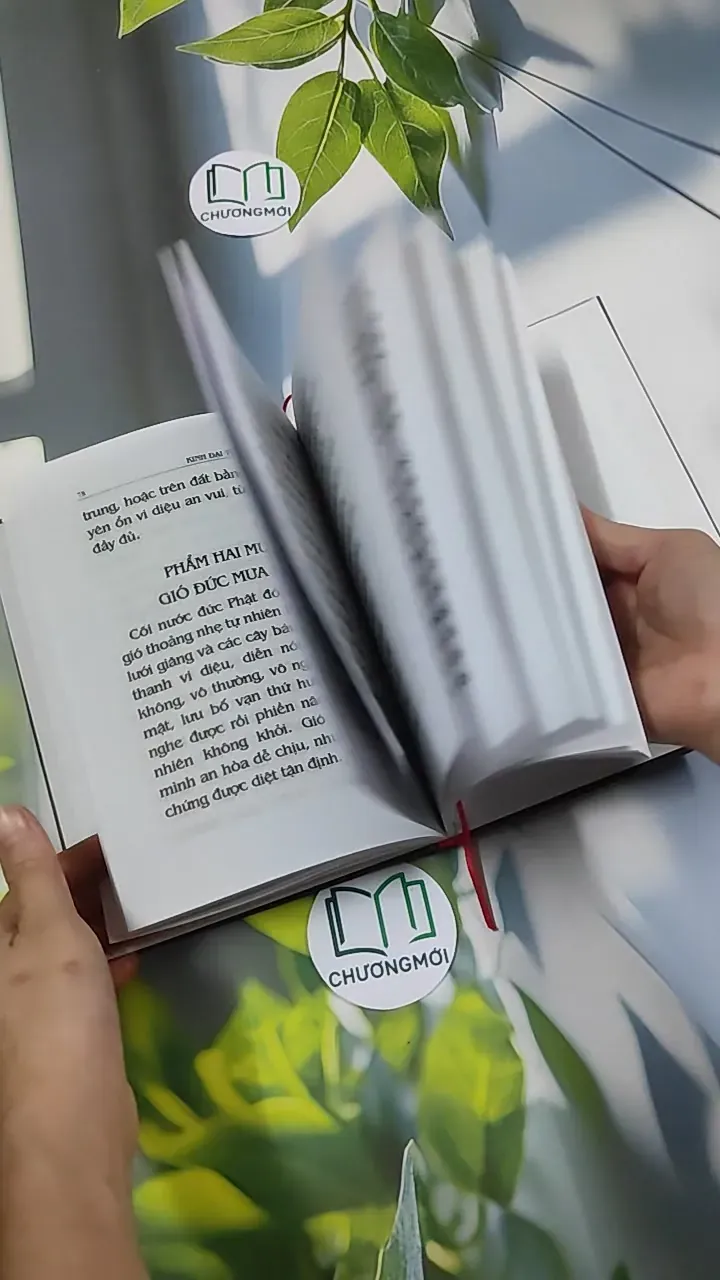 Đại Thừa Vô Lượng Thọ Trang Nghiêm Thanh Tịnh Bình Đẳng Giác Kinh - HT. Thích Đức Niệm 750812
