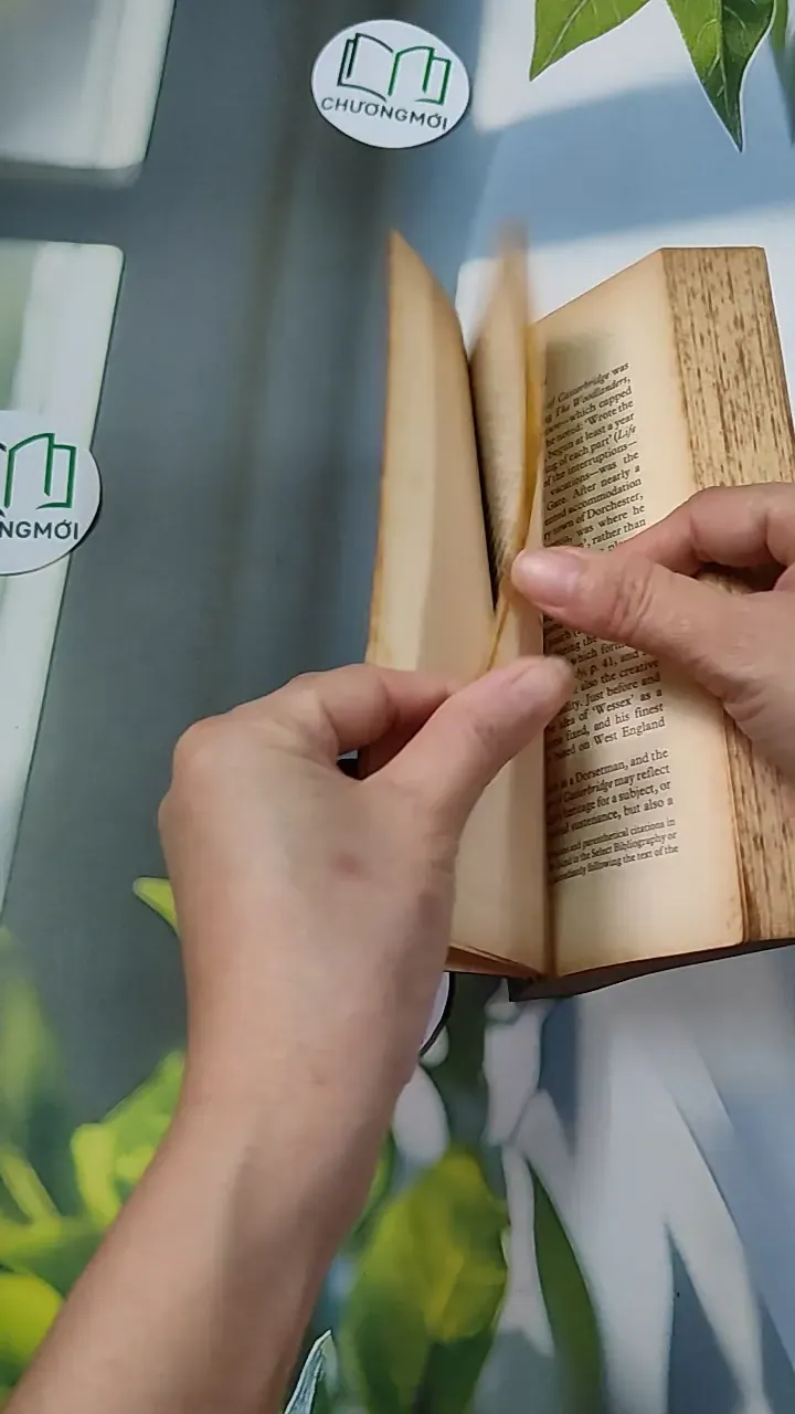 [XƯA] The Mayor of Casterbridge (1996) - Thomas Hardy 754508