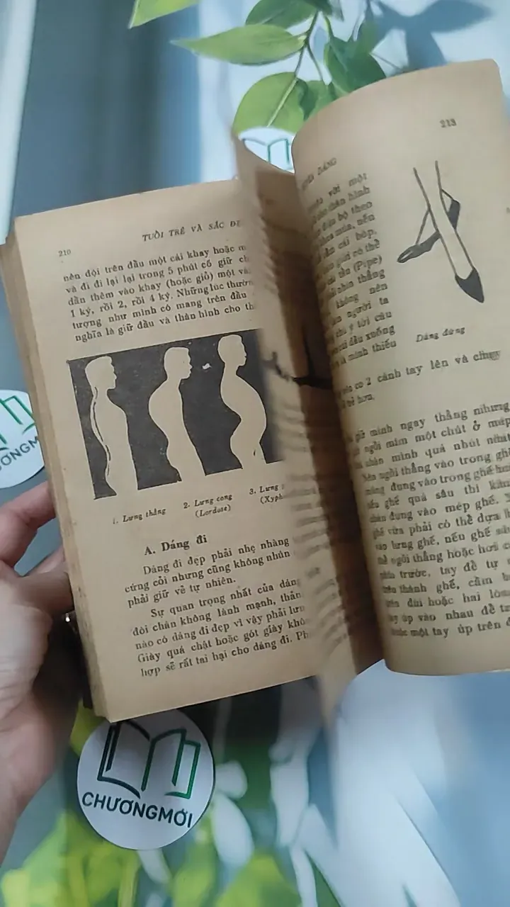 [MIỄN PHÍ BỌC SÁCH] [XƯA] Tuổi Trẻ Và Sắc Đẹp (1989) - BS. Nguyễn Ngọc Bảy 776022