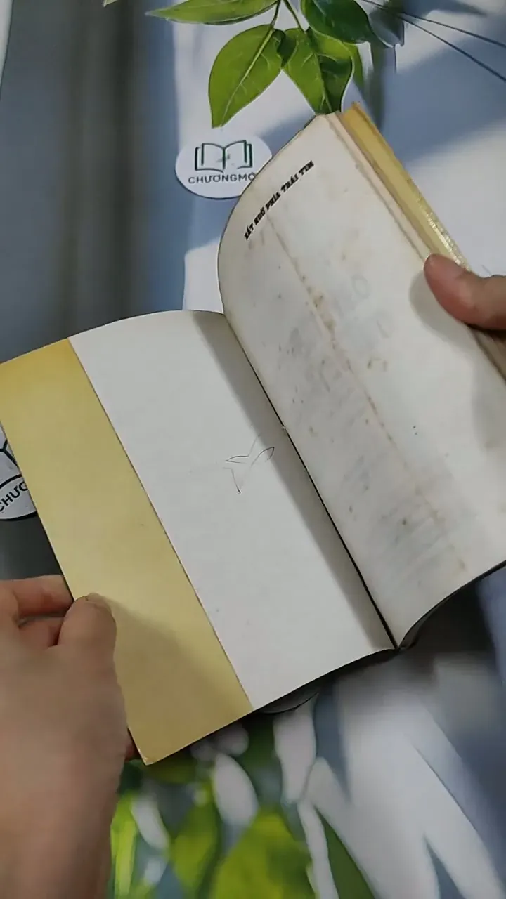 Bất Ngờ Phía Trái Tim - Đoàn Thạch Biền 713853