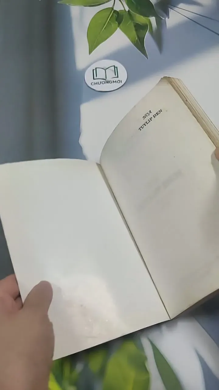 Hoa TuyLip Đen - Alexandre Dumas 715595