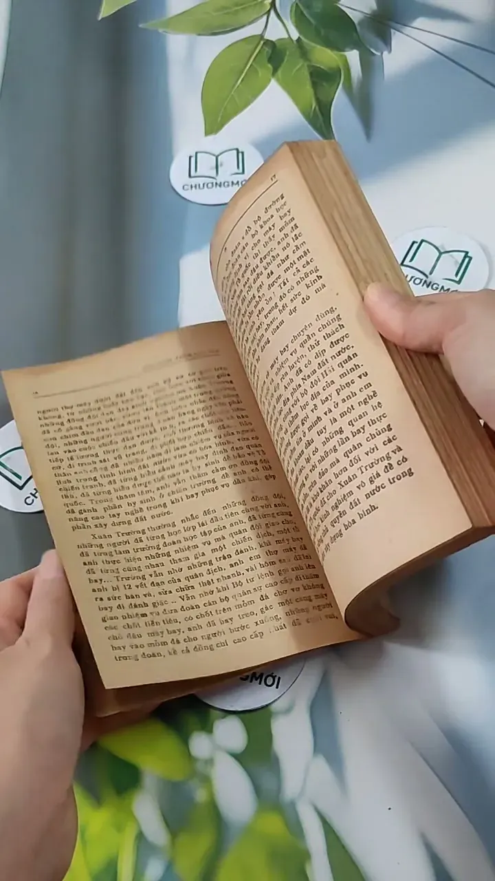 Bầu Trời Thềm Lục Địa - Trần Thanh Giao 713829