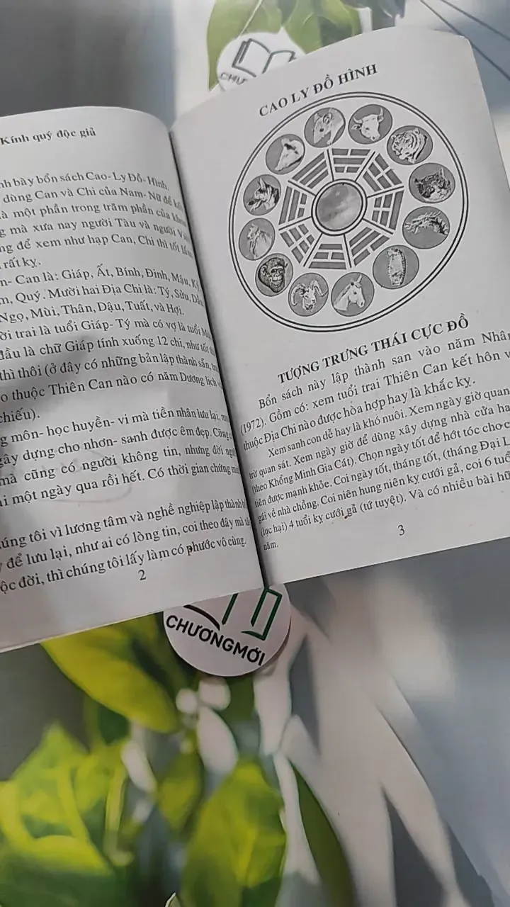 Cao Ly Đầu Hình 775958