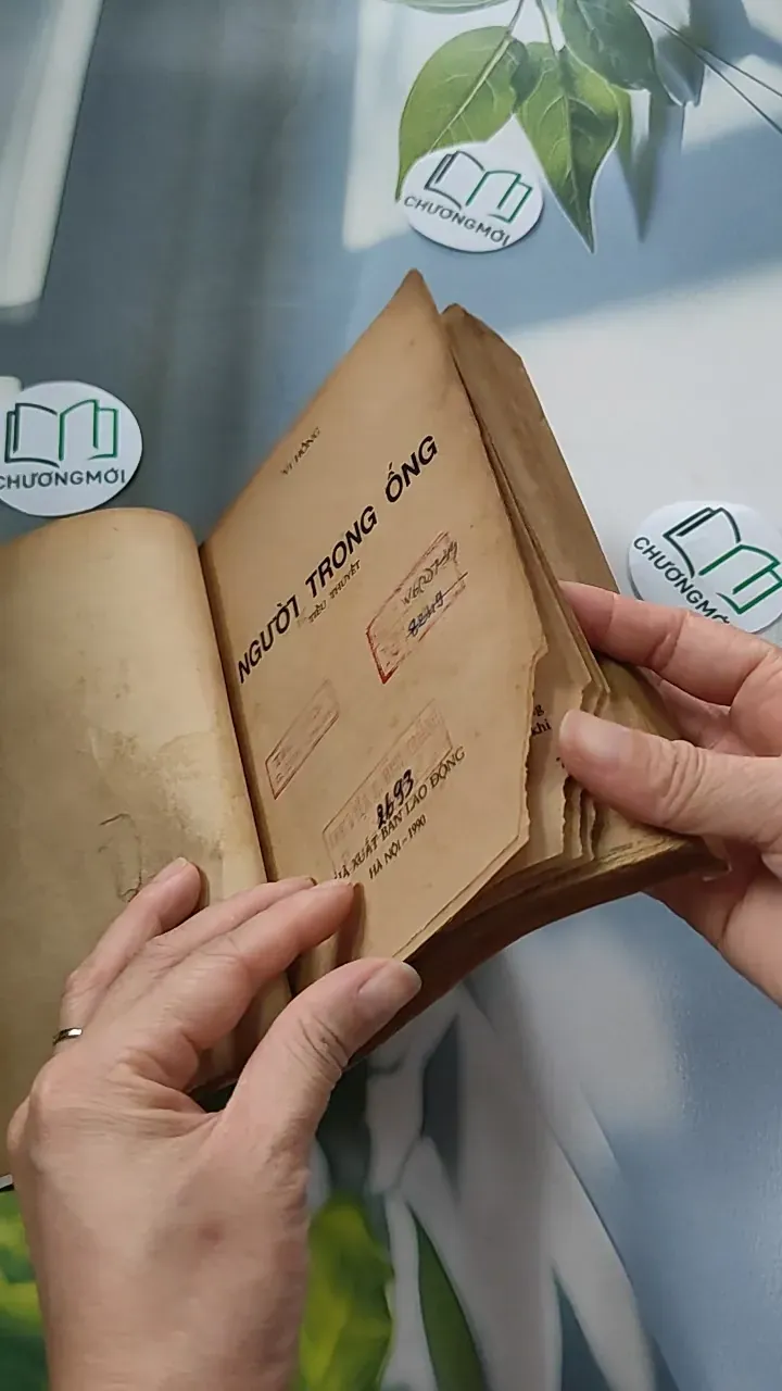 [XƯA] Người Trong Ống (1990) - Vi Hồng 776053