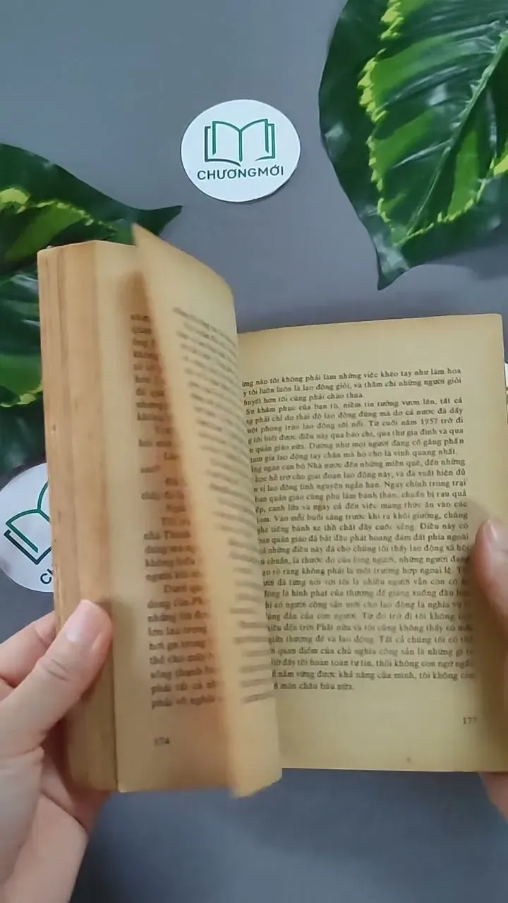 Hoàng Đế Cuối Cùng (1989) - Phổ Nghi 604644