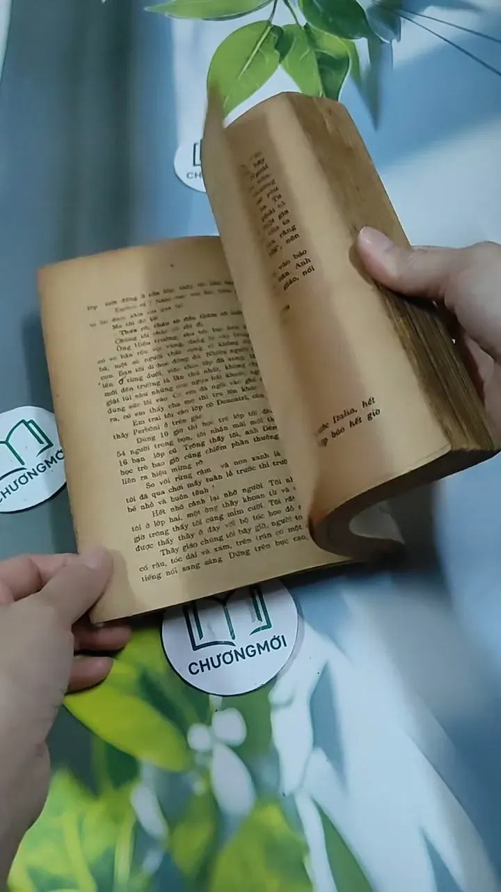 Tâm Hồn Cao Thượng (1989) 713894