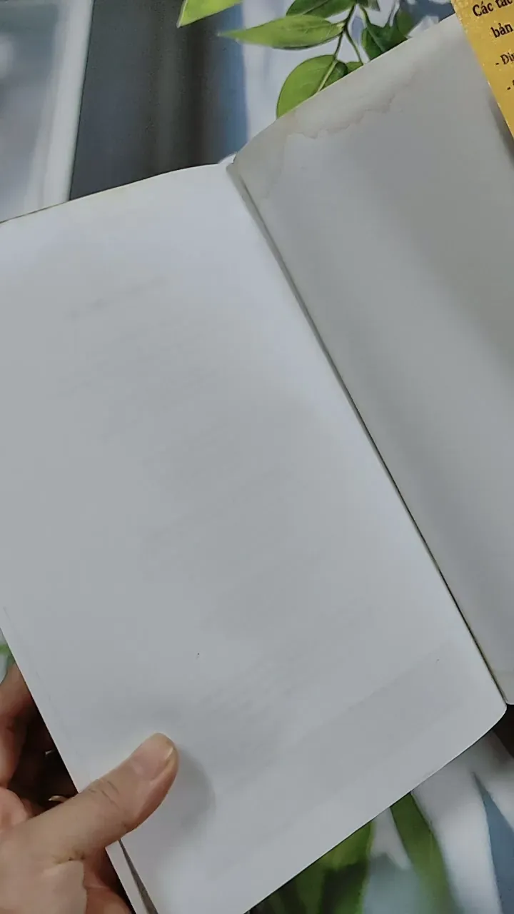 Bảo Vật Giang Hồ - Tô Tố 744769