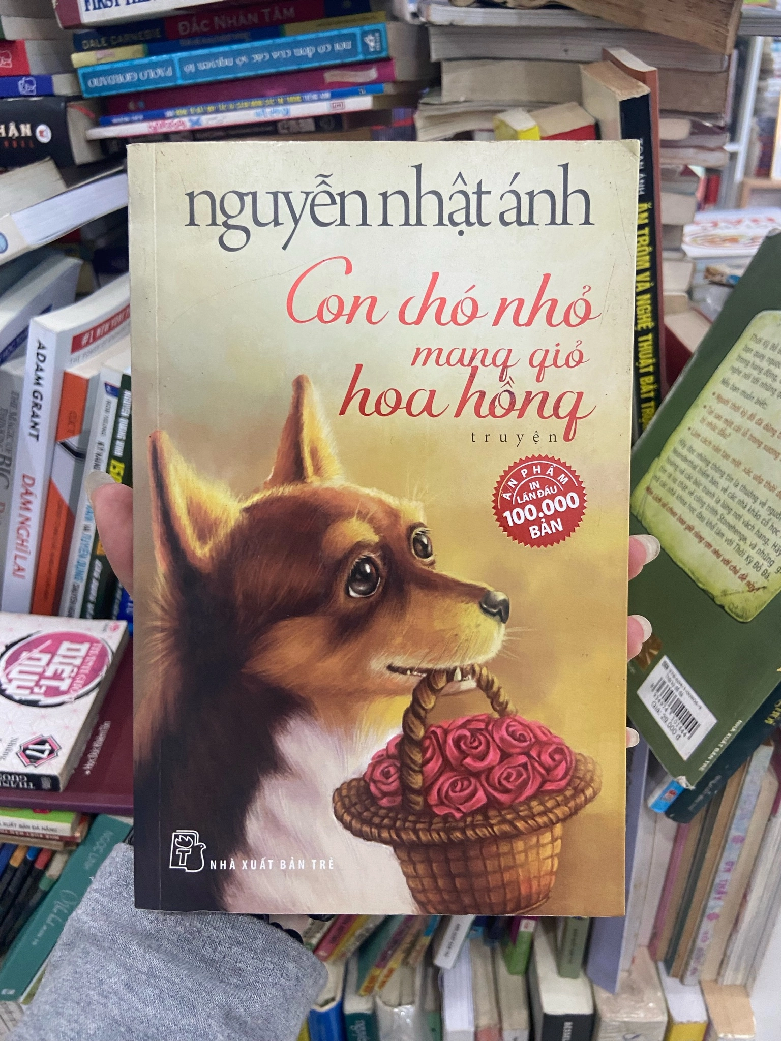 Con chó nhỏ mang giỏ hoa hồng by  - Sách Book Cover - Ngọc Hiển Books