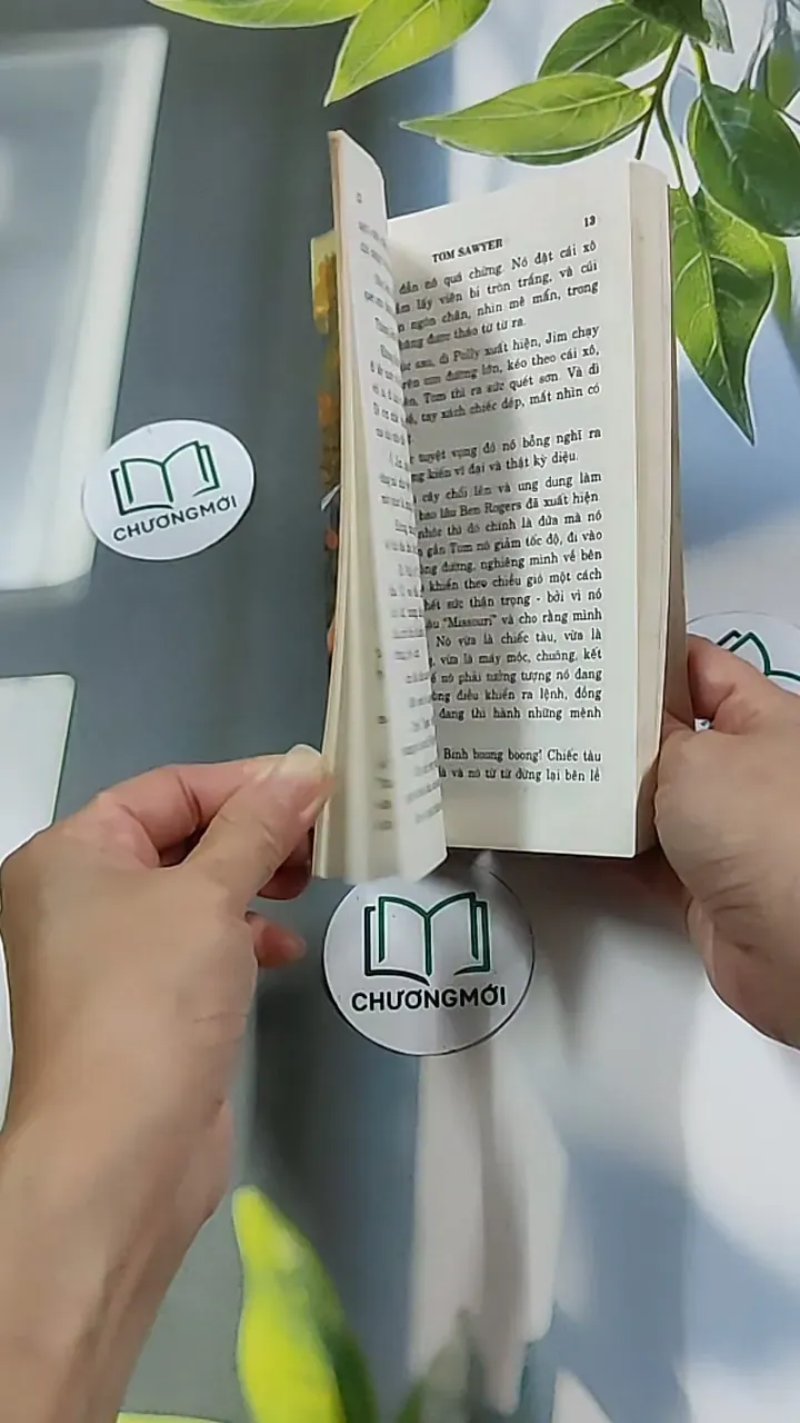 Những Cuộc Phiêu Lưu Của Tom Sawyer 604591