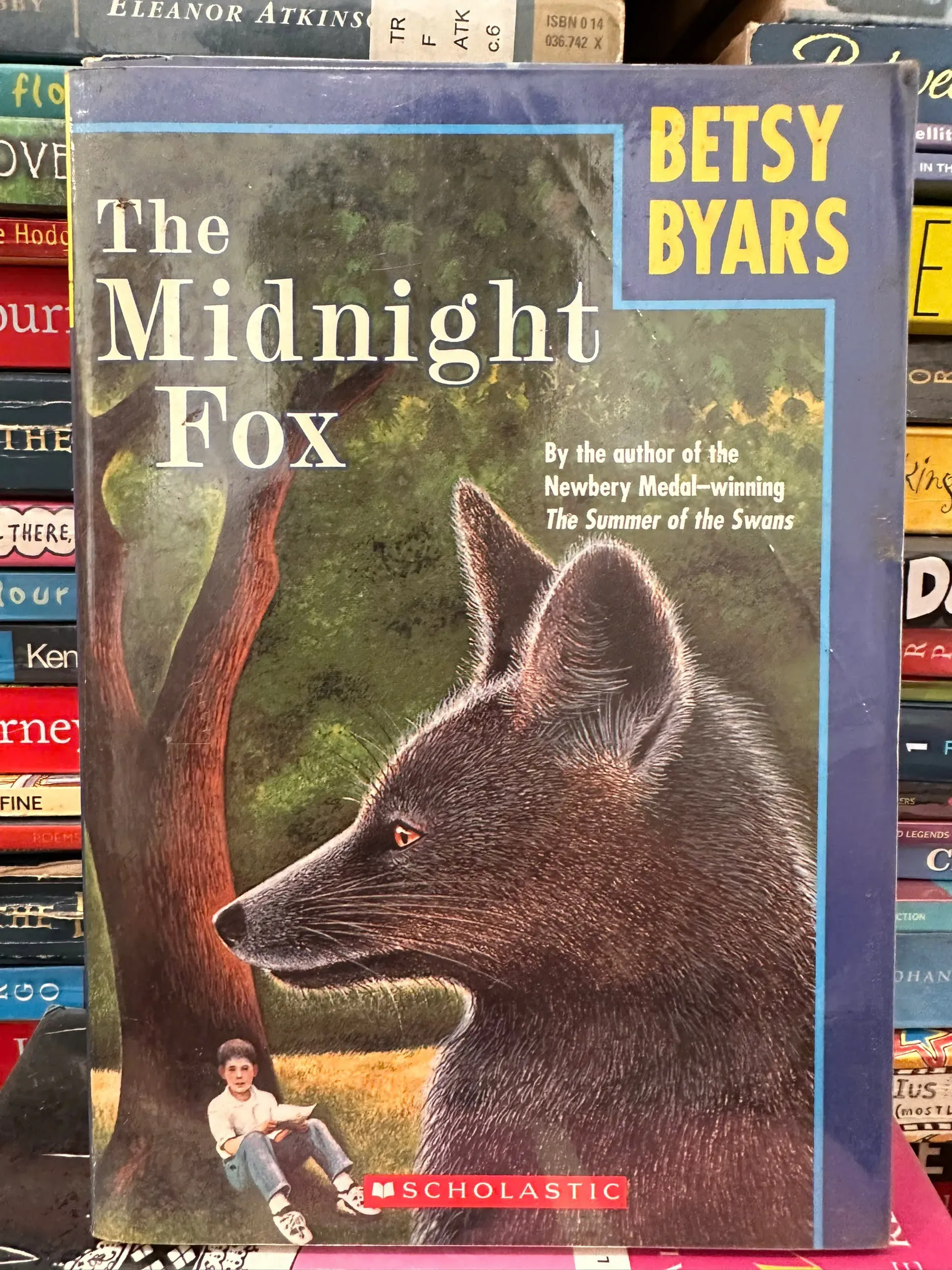 The Midnight Fox by Betsy Byars by  - Sách Book Cover - Ngọc Hiển Books