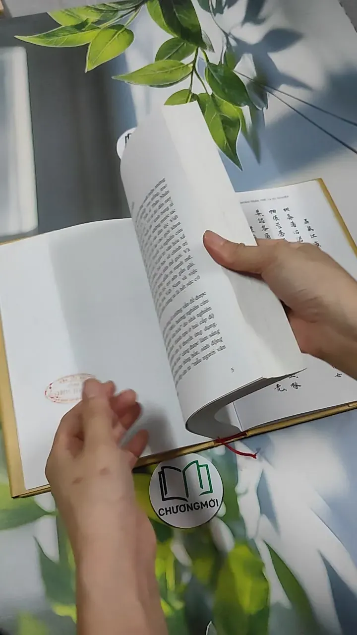 [MIỄN PHÍ BỌC SÁCH] Đinh Nho Hoàn: Thân Thế Và Sự Nghiệp - Hoàng Giáp 750797