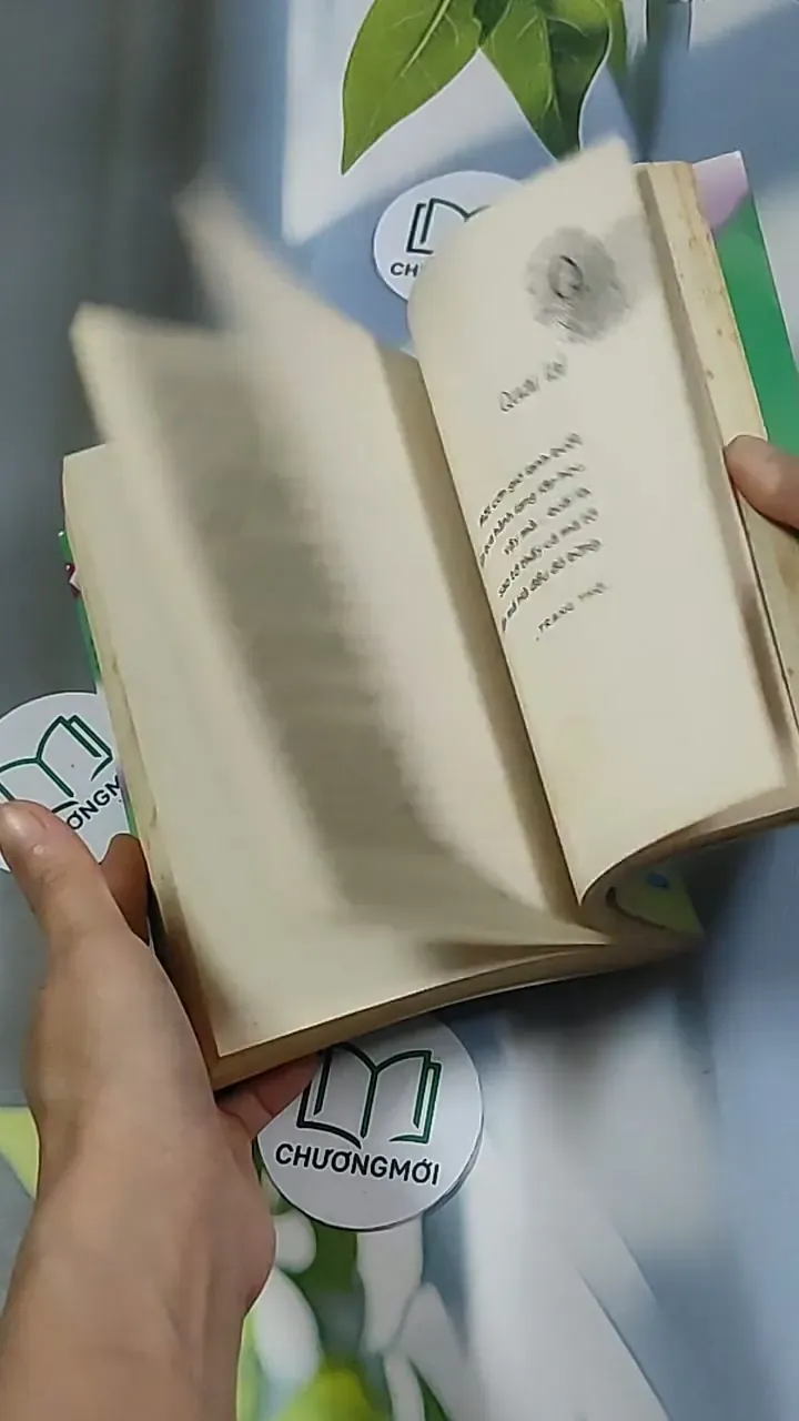 24 cung bậc trái tim 698564