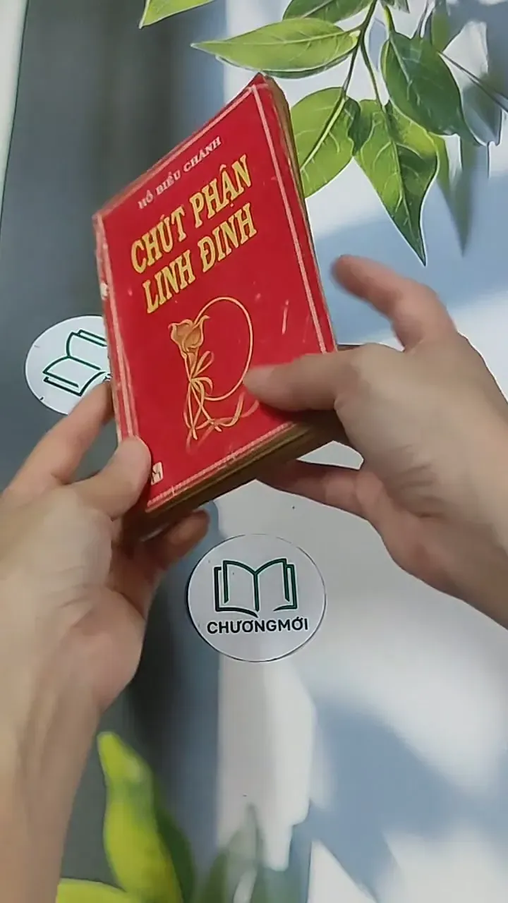 Chút Phận Linh Đinh (1996) - Hồ Biểu Chánh 674979