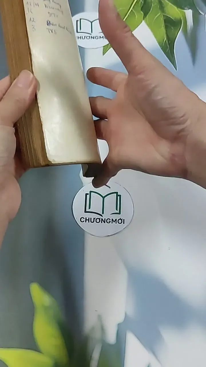 Chí Phèo (1995) - Nam Cao 674978