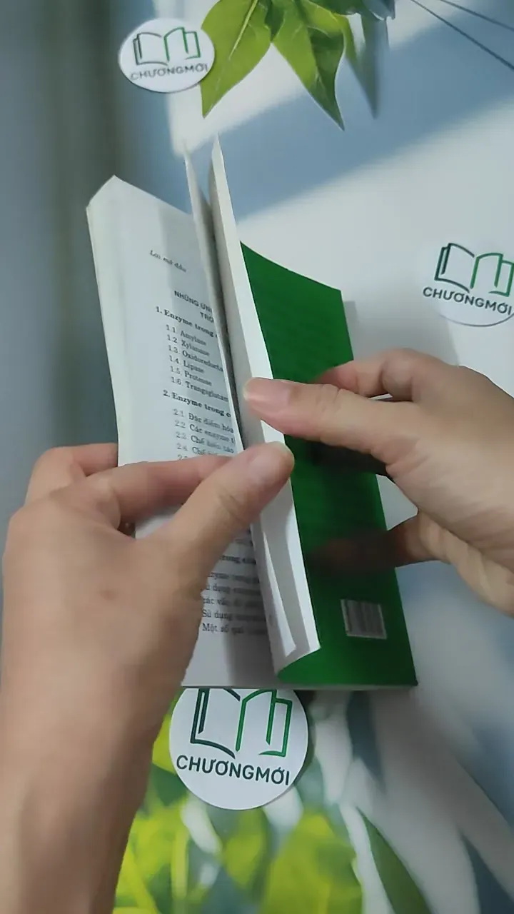 Ứng Dụng Enzyme Trong Công Nghiệp Thực Phẩm - Hoàng Kim Anh & Trần Ngọc Hiếu 780872