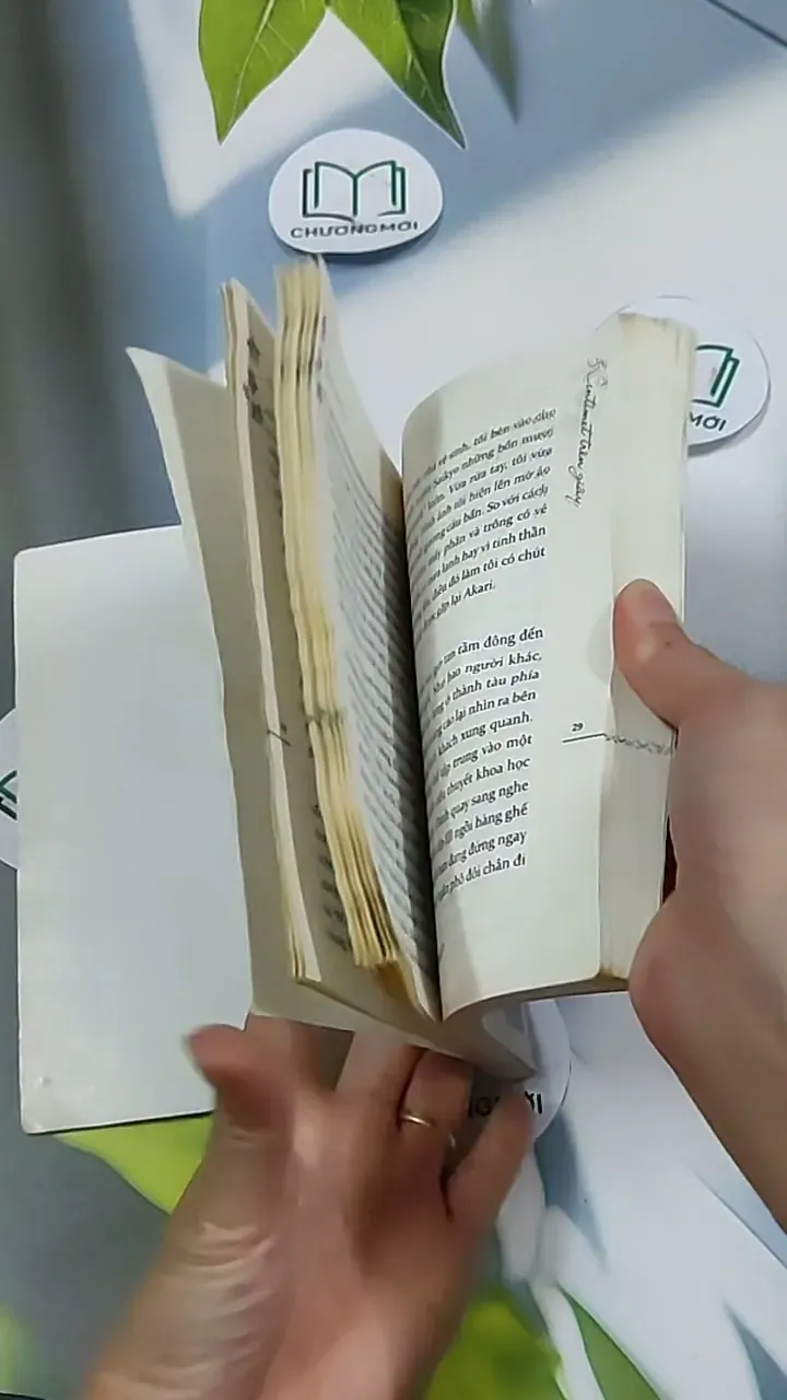 5 Centimet Trên Giây 703127