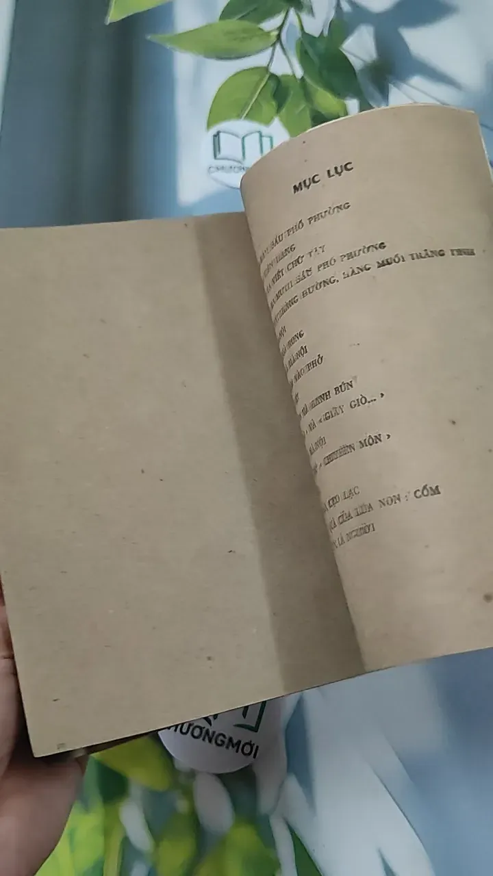 [XƯA] Hà Nội Băm Sáu Phố Phường (1988) (Hà Nội Băm Sáu Phố Phường) 776005