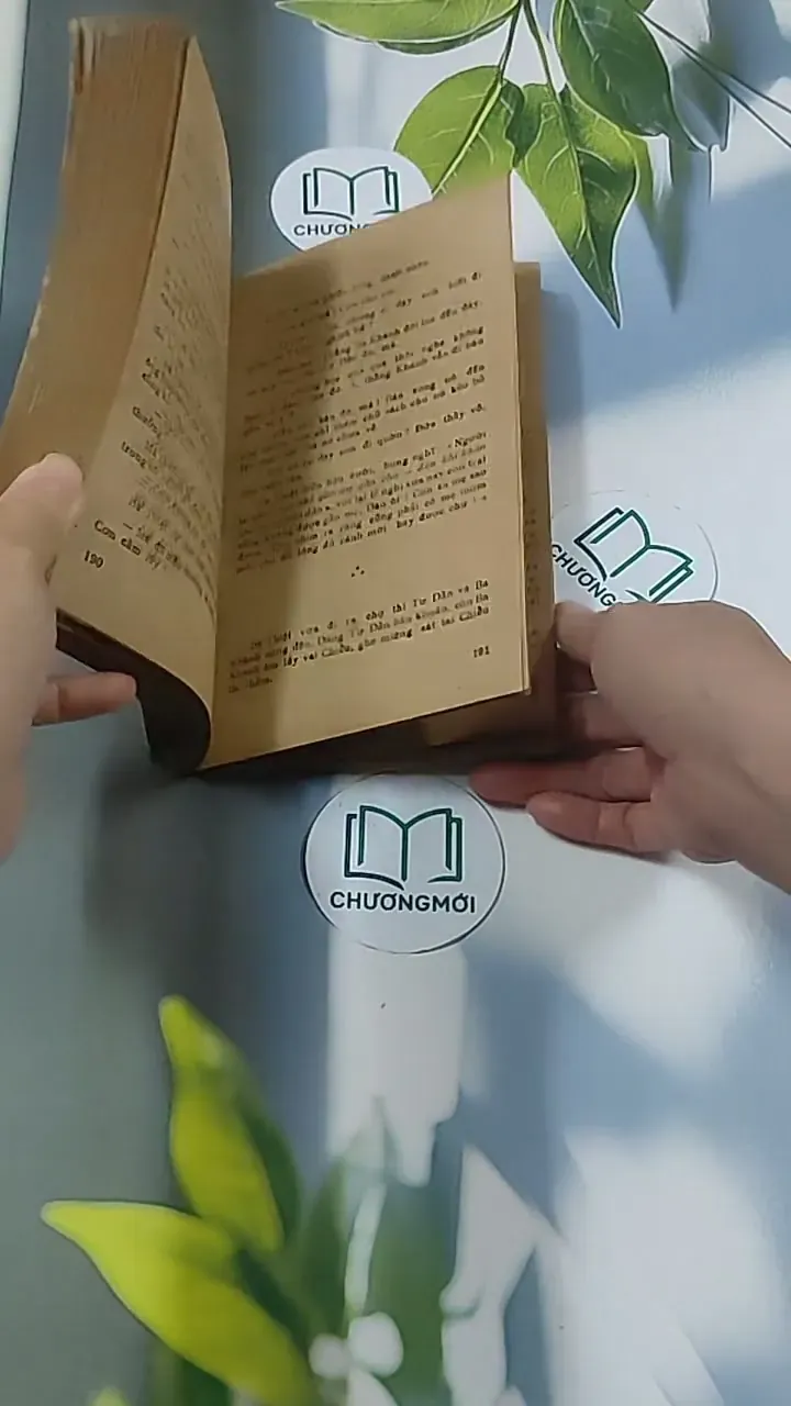 Tuổi Xanh Nguyễn Đình Chiểu (1987) - Thái Vũ 674974