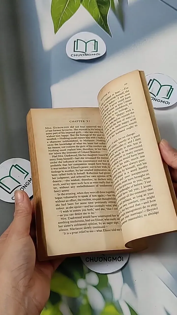 Sense and Sensibility - Jane Austen 703084